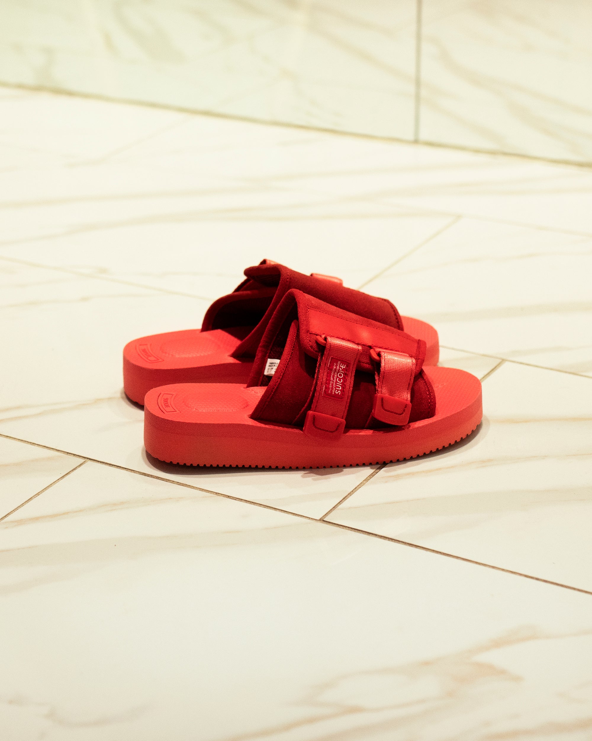 Arrivals from SUICOKE article image