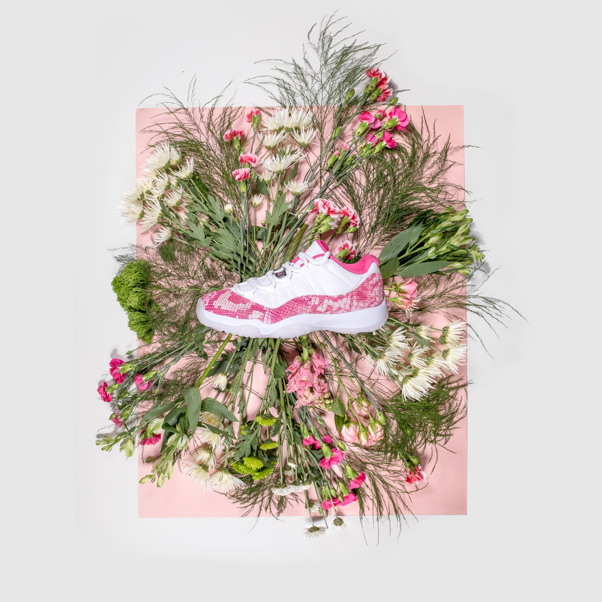 Air Jordan Women's XI Low Snakeskin article image