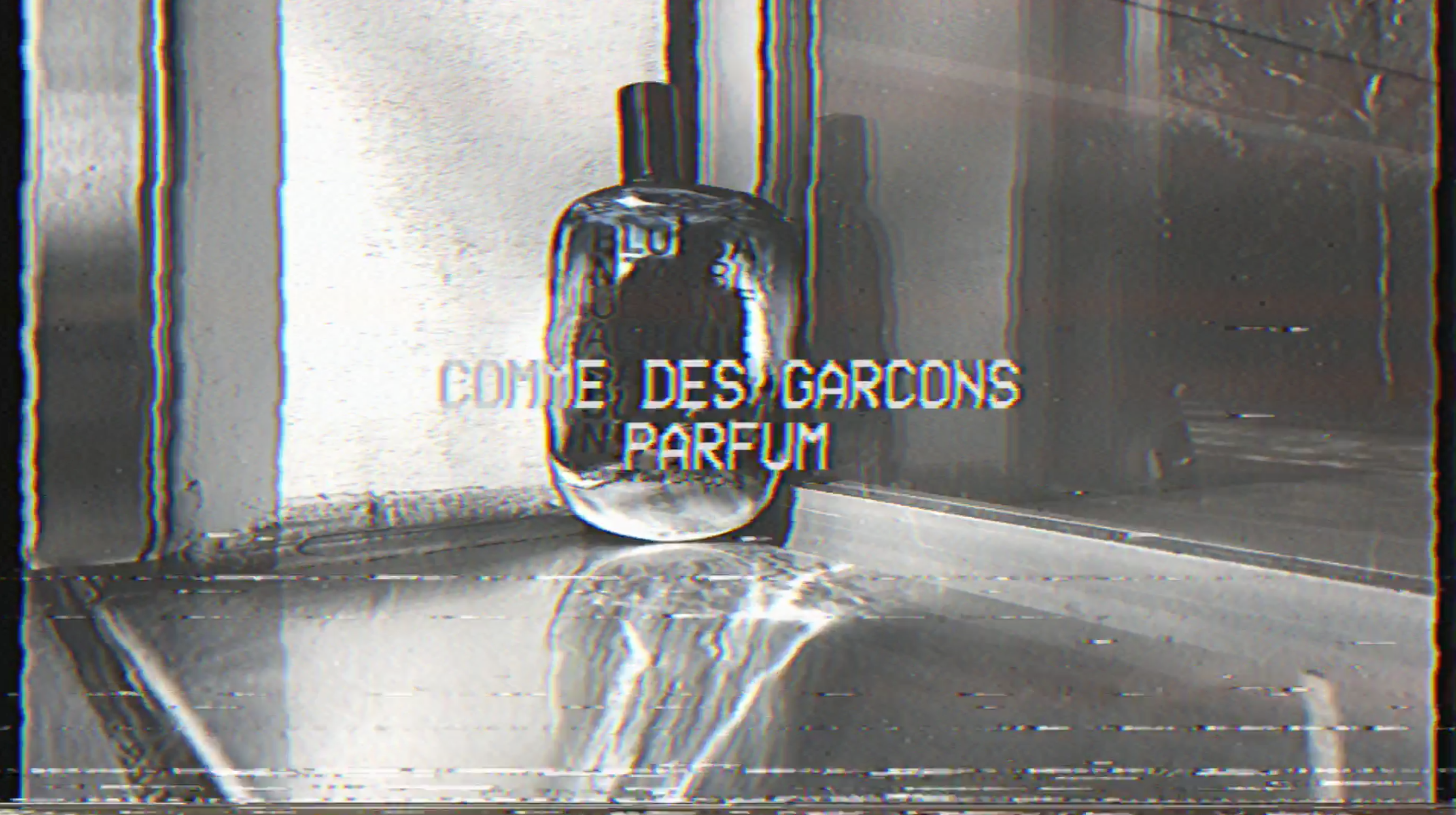 Introducing... COMME des GARÇONS parfums* article image
