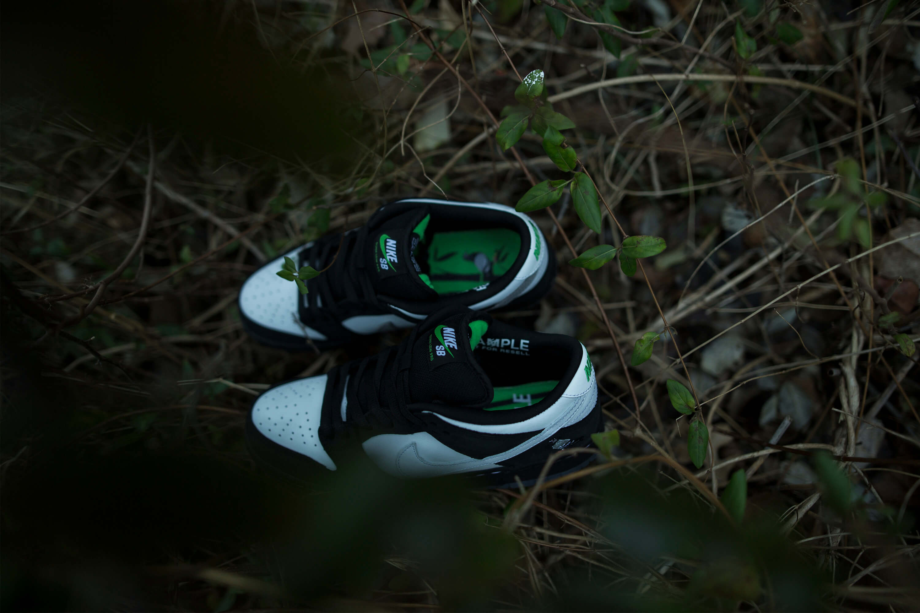 Nike SB x Staple Dunk Low "Panda" Pigeon article image
