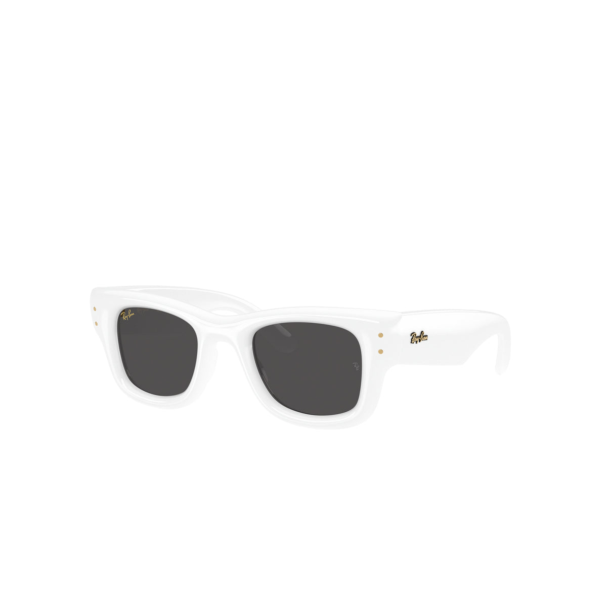 Ray-Ban x A$AP Rocky Wayfarer Puffer Sunglasses