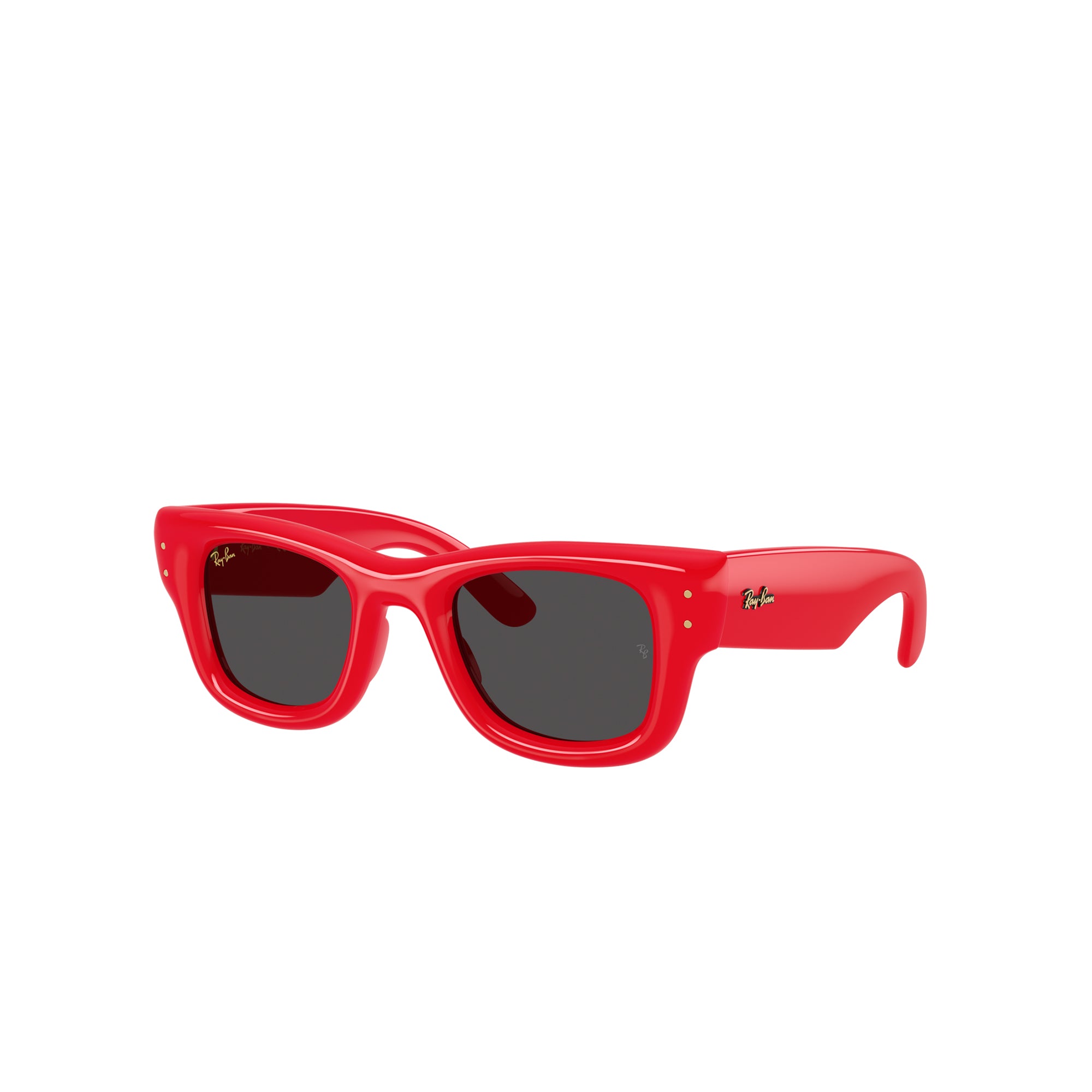 Ray-Ban x A$AP Rocky Wayfarer Puffer Sunglasses
