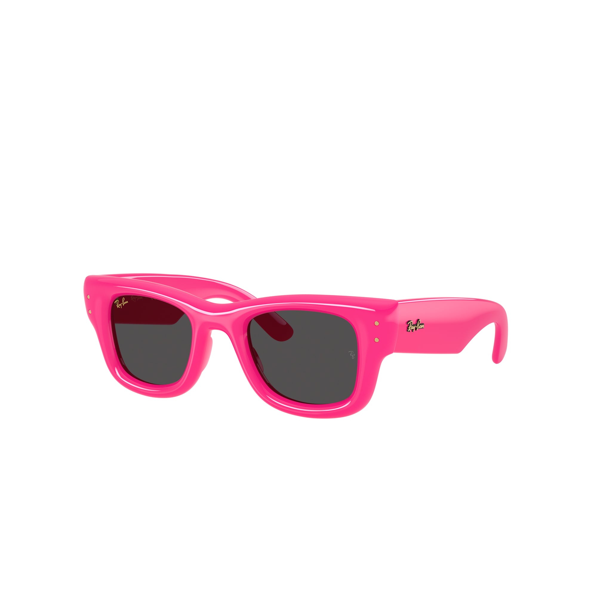 Ray-Ban x A$AP Rocky Wayfarer Puffer Sunglasses