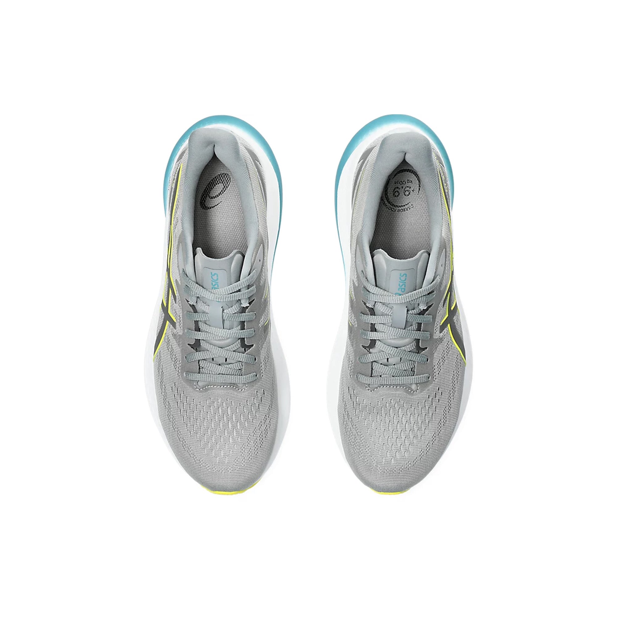 Asics Mens GT-2000 Shoes