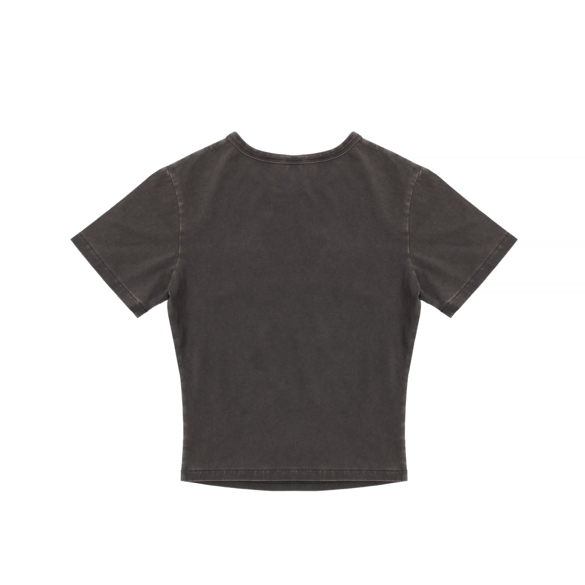 Entire Studios Womens Micro Tee