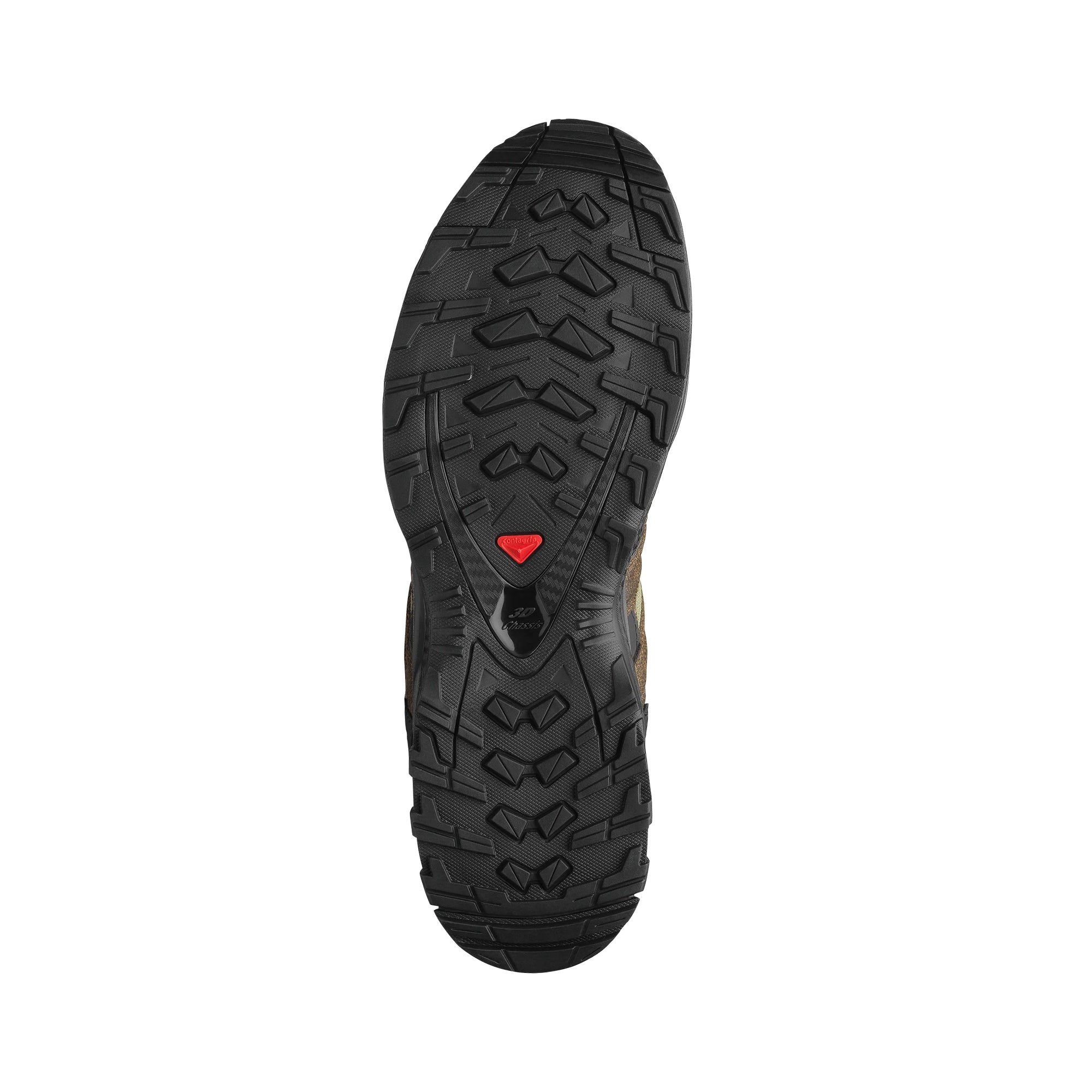 Salomon Mens XA Pro 3D Shoes