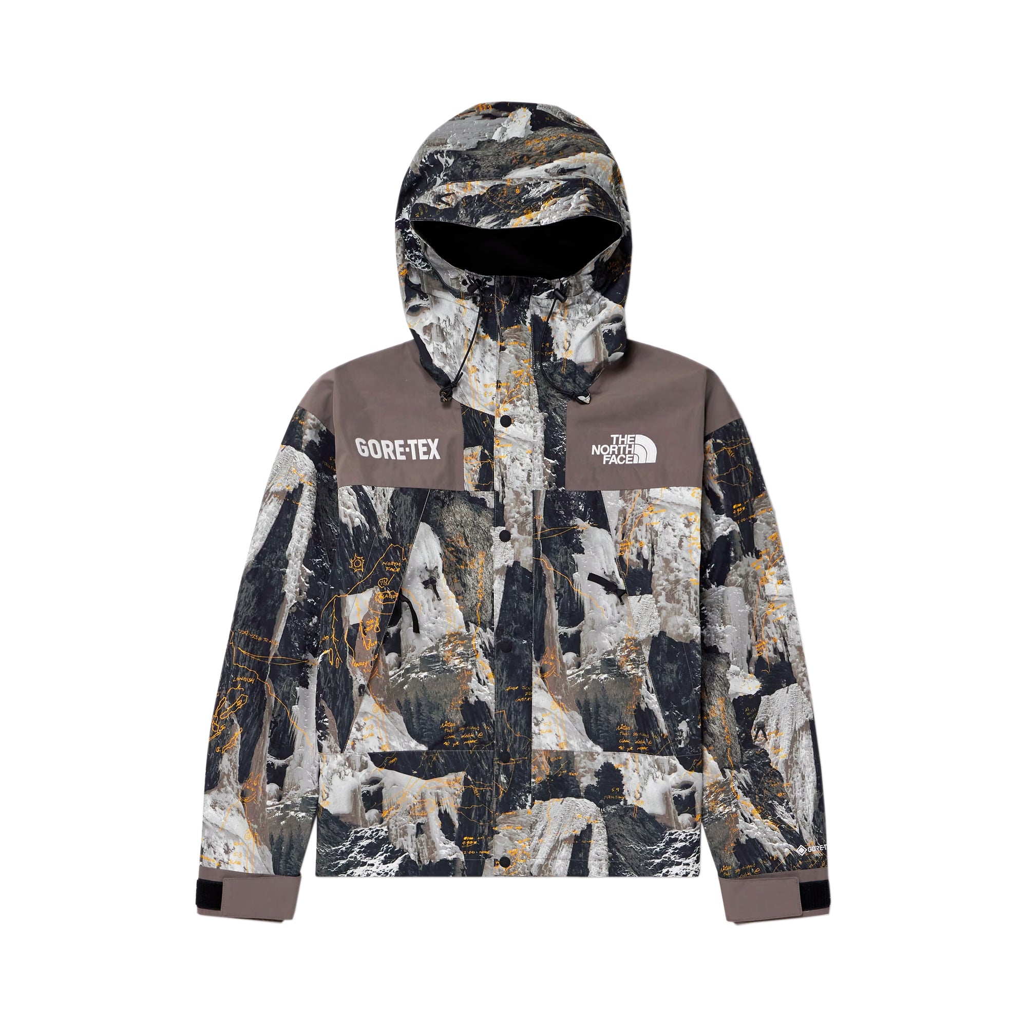 The North Face Mens GTX MTN Jacket