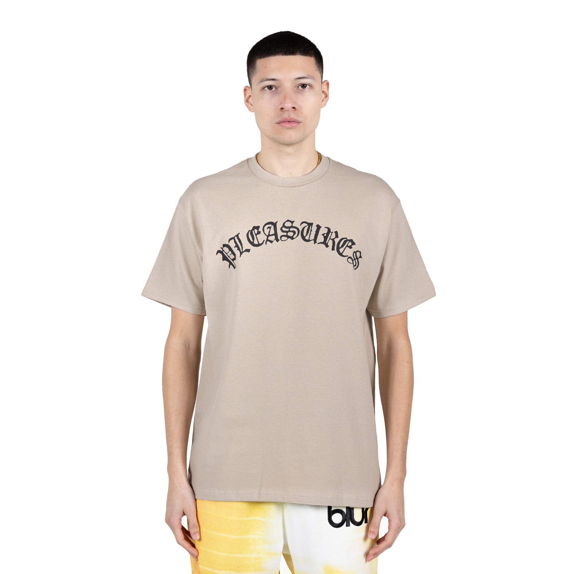 Pleasures Mens Old E Logo SS Tee