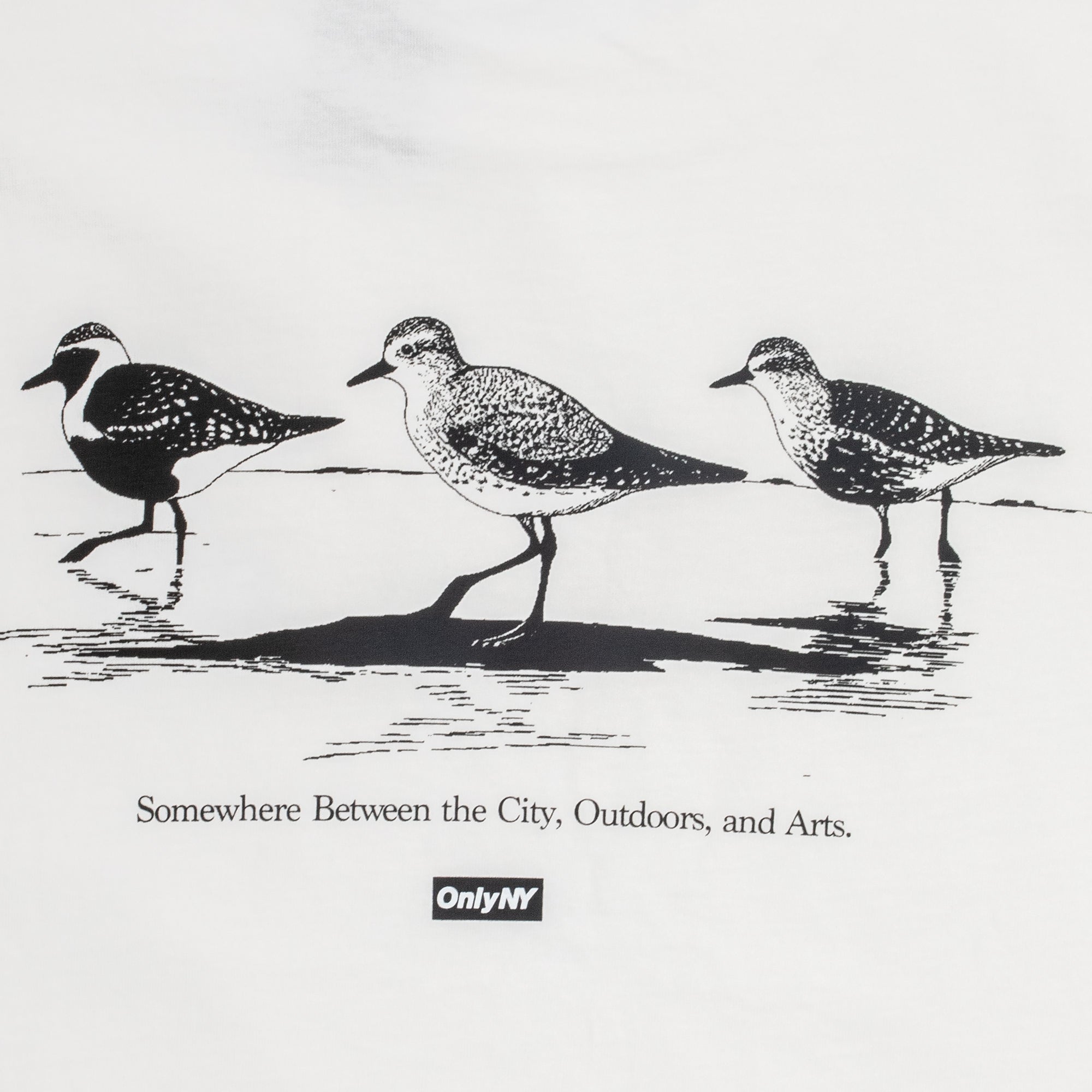 Only NY Mens Low Tide SS Tee