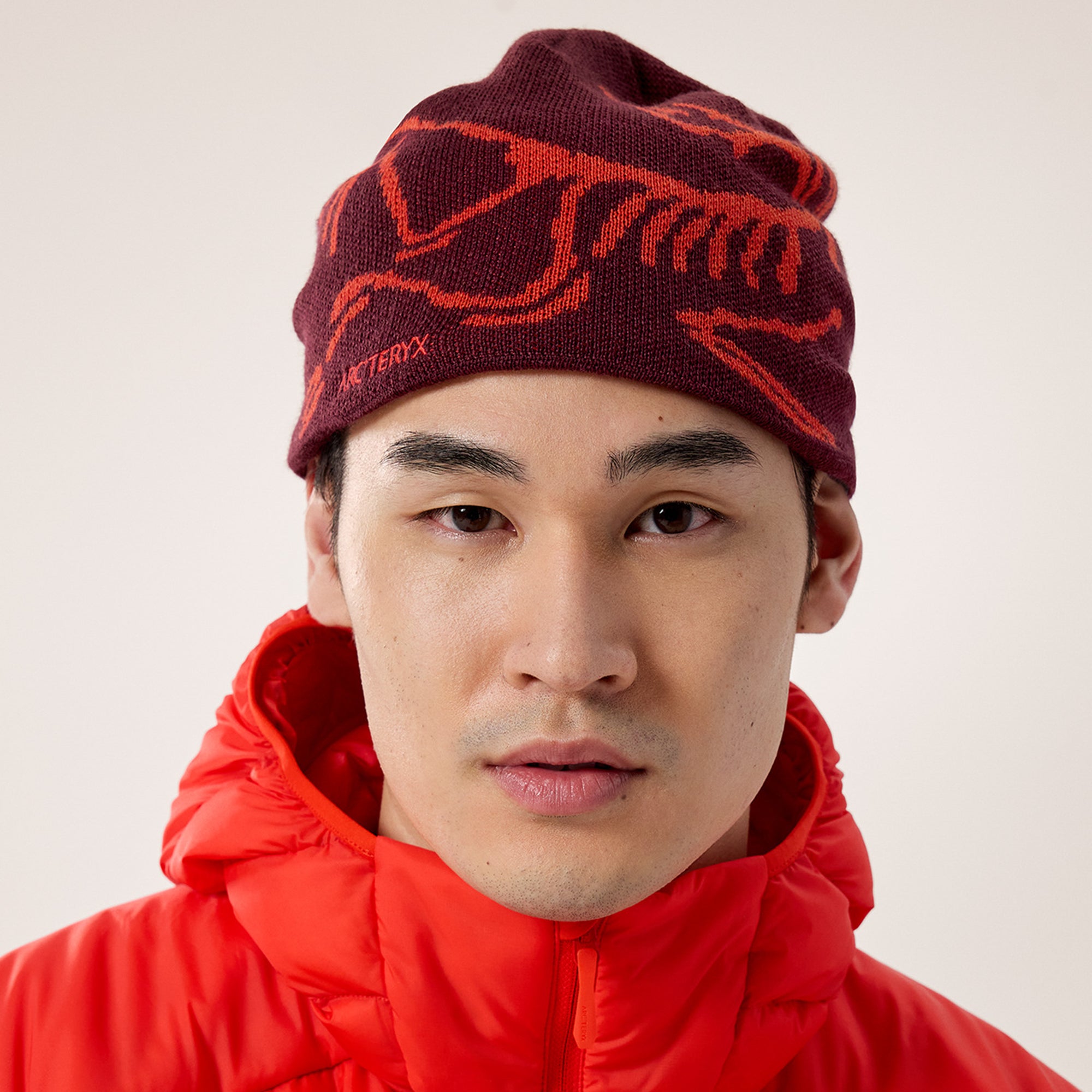 Arc'teryx Bird Head Toque Hat