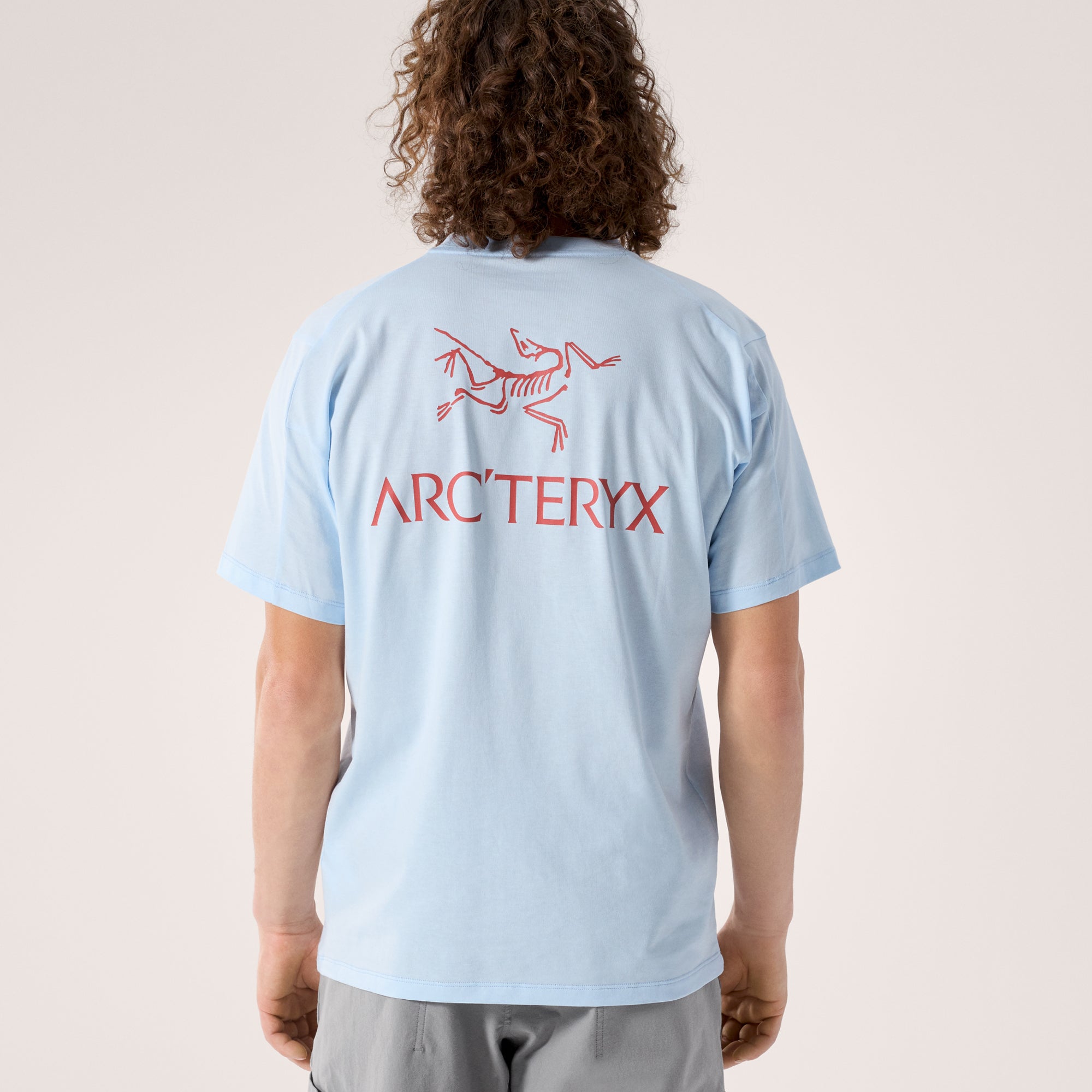 Arc'teryx Mens Kragg SL Cotton Bird Word Shortsleeve Tee