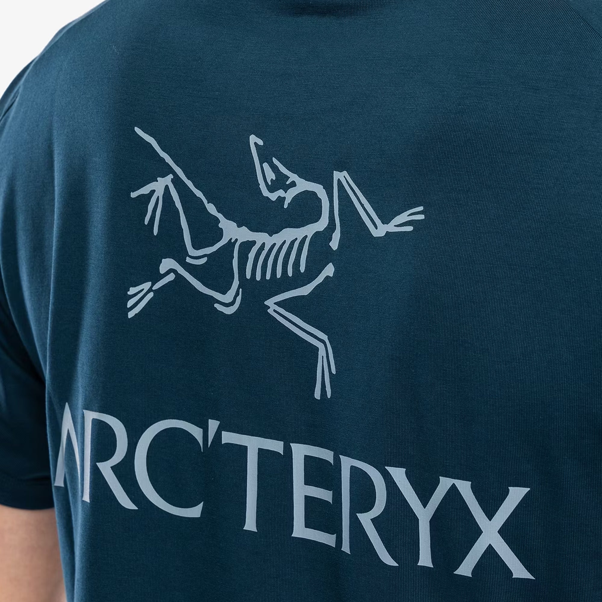 Arc'teryx Mens Kragg SL Cotton Bird Word Tee