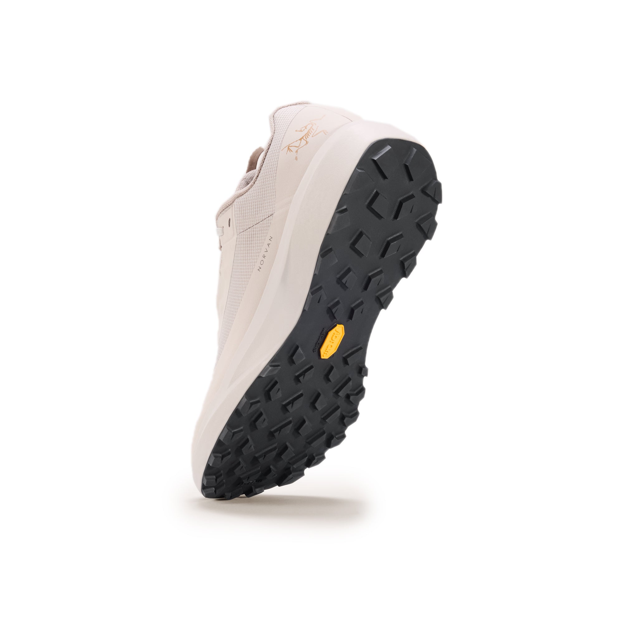 Arc'teryx Mens Norvan LD 4 GTX Shoes