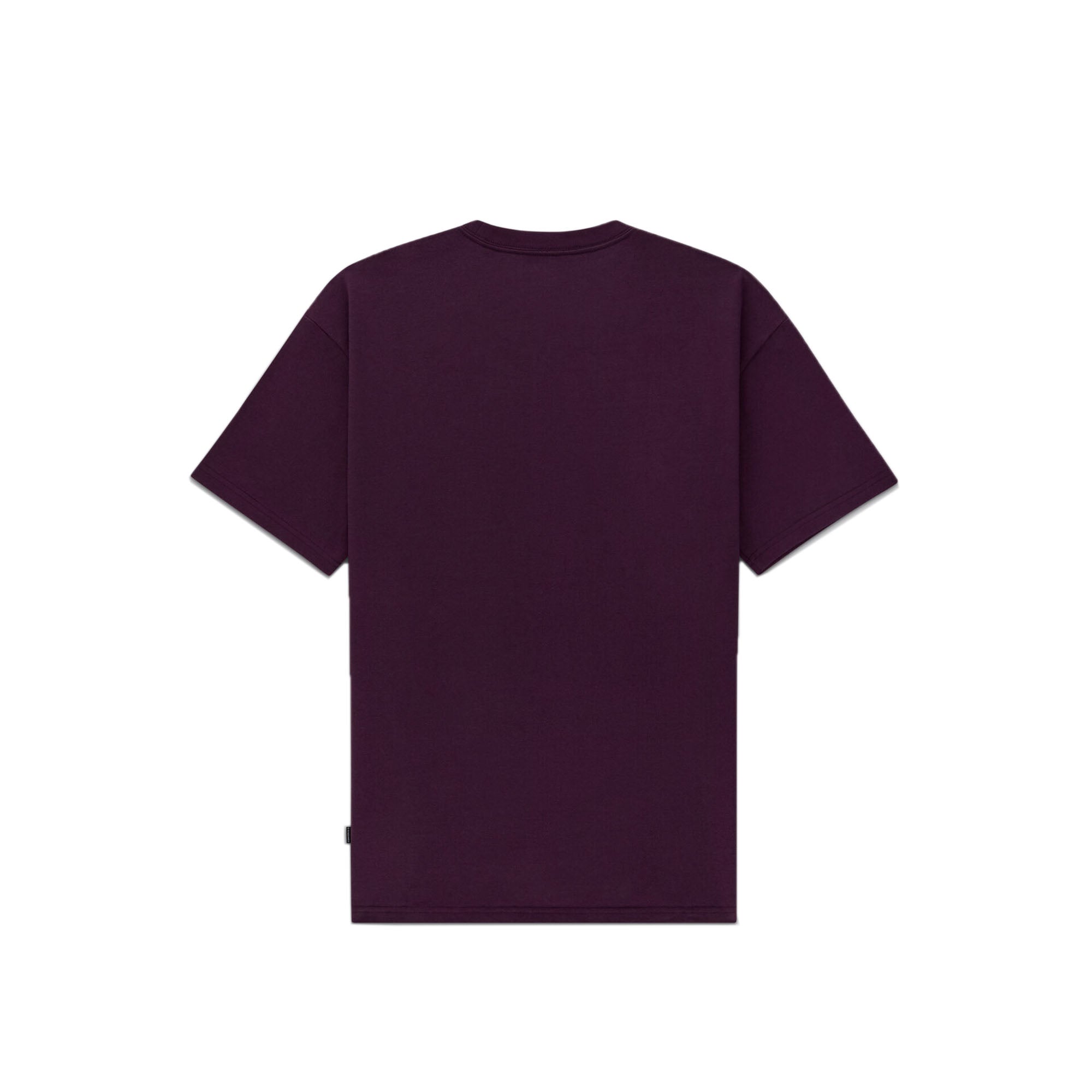 Paria x Converse Fashion Tee 'Purple'