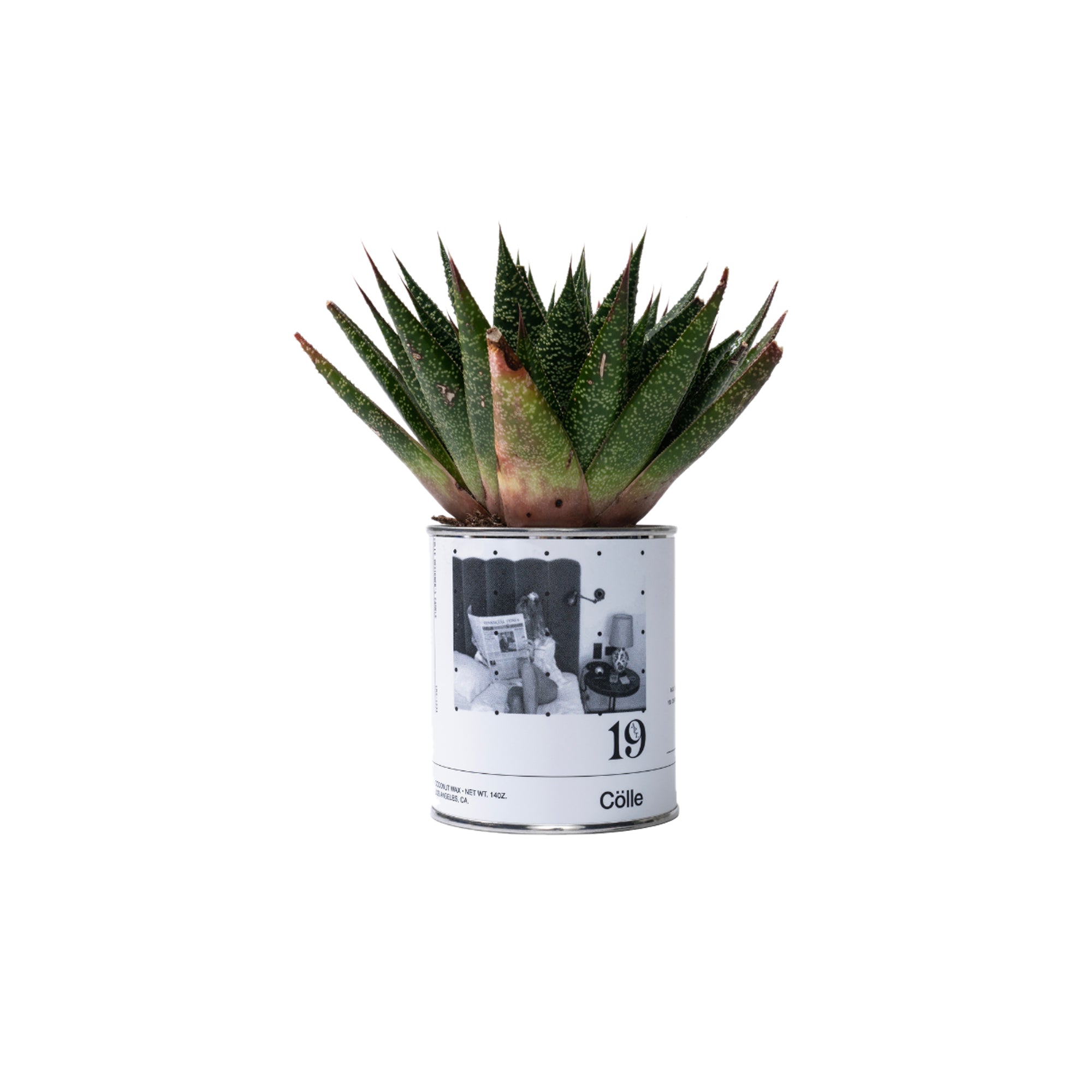 Colle Apt 19 Candle