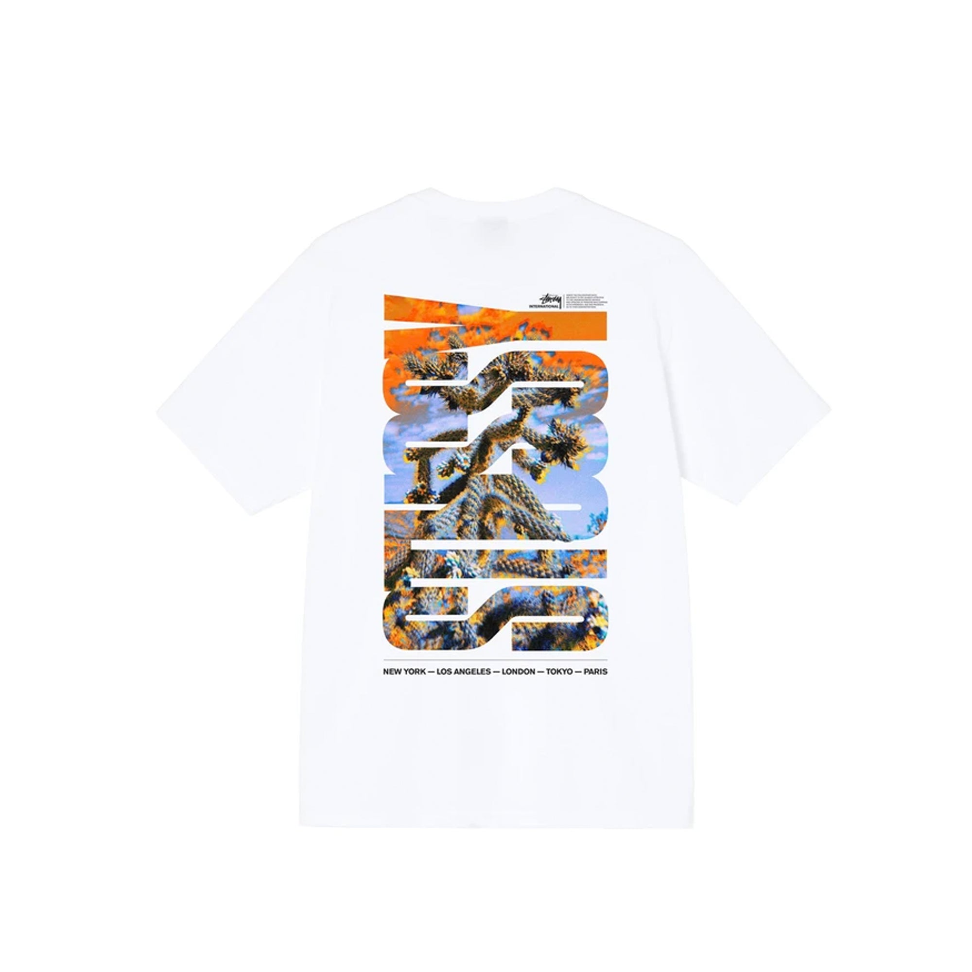 Stussy Mens Desert Sky Tee 'White'