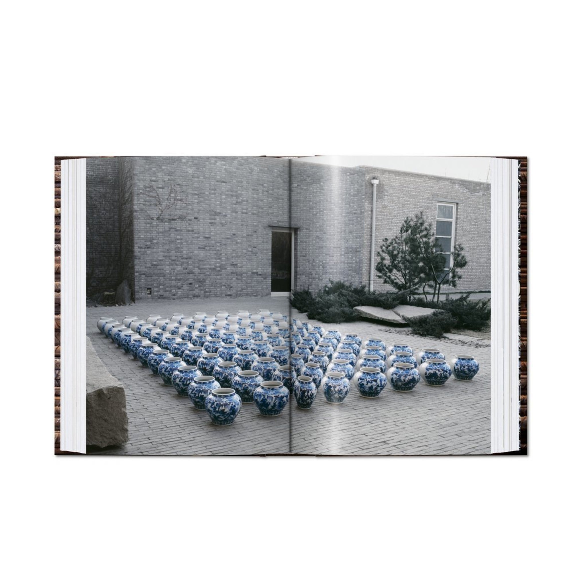 Tasschen Ai Weiwei - 40th Anniversary Edition Book