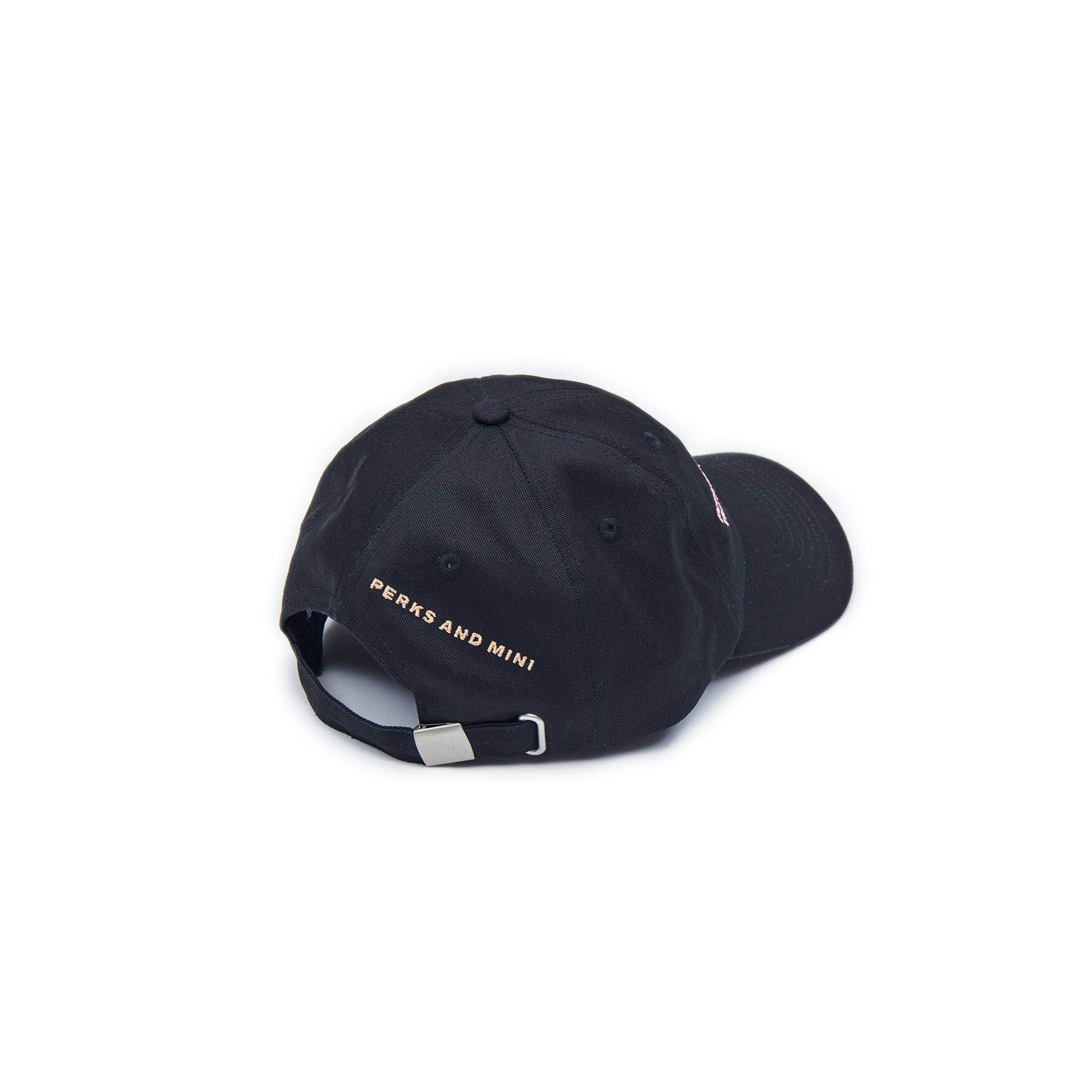 Perks And Mini Post-Human Baseball Cap