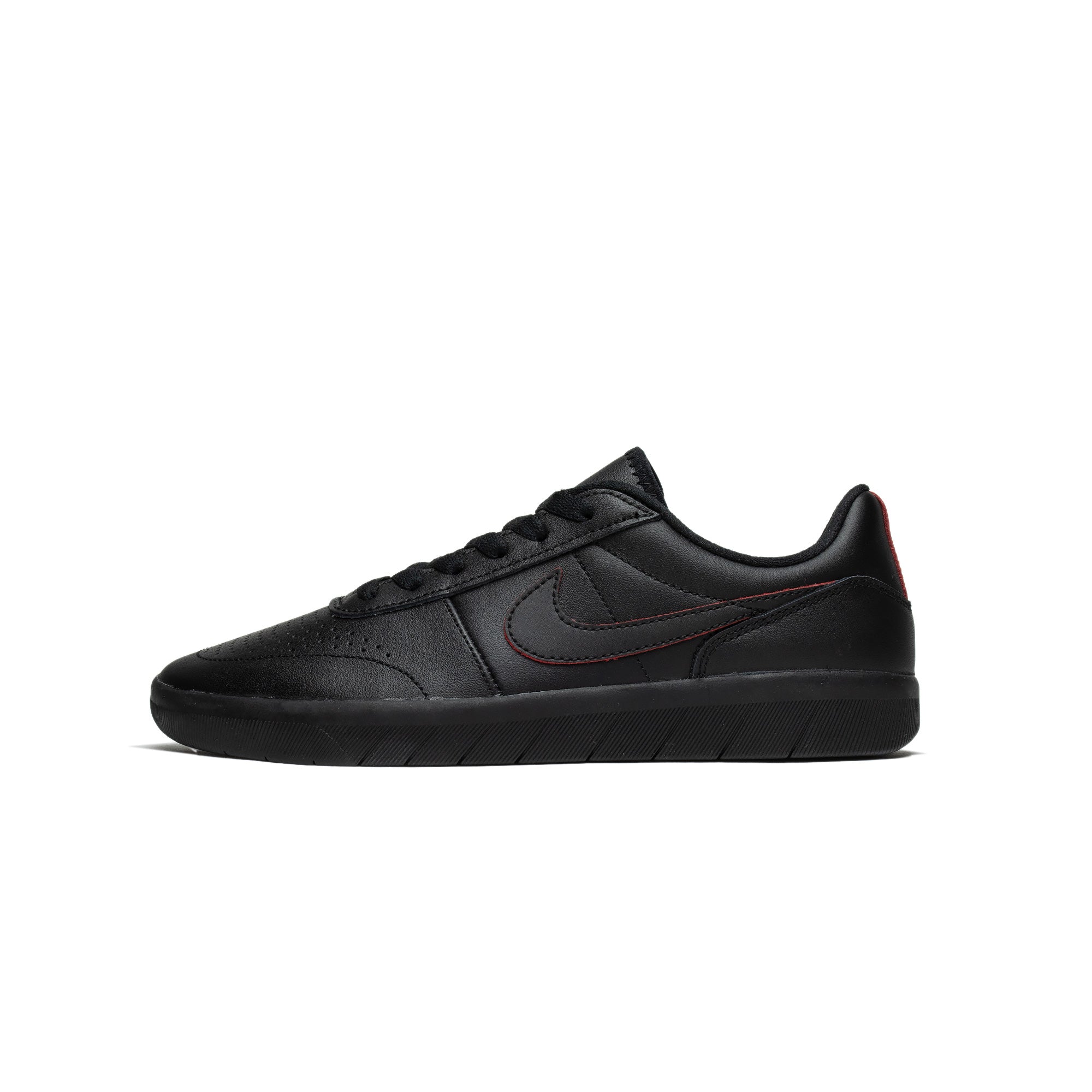 Nike SB Team Classic Premium [AR0767-003]