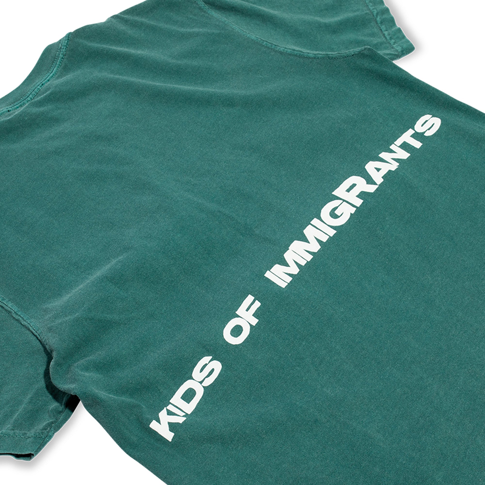 Kids Of Immigrants Support Your Friends T-Shirt 'Teal Multi'