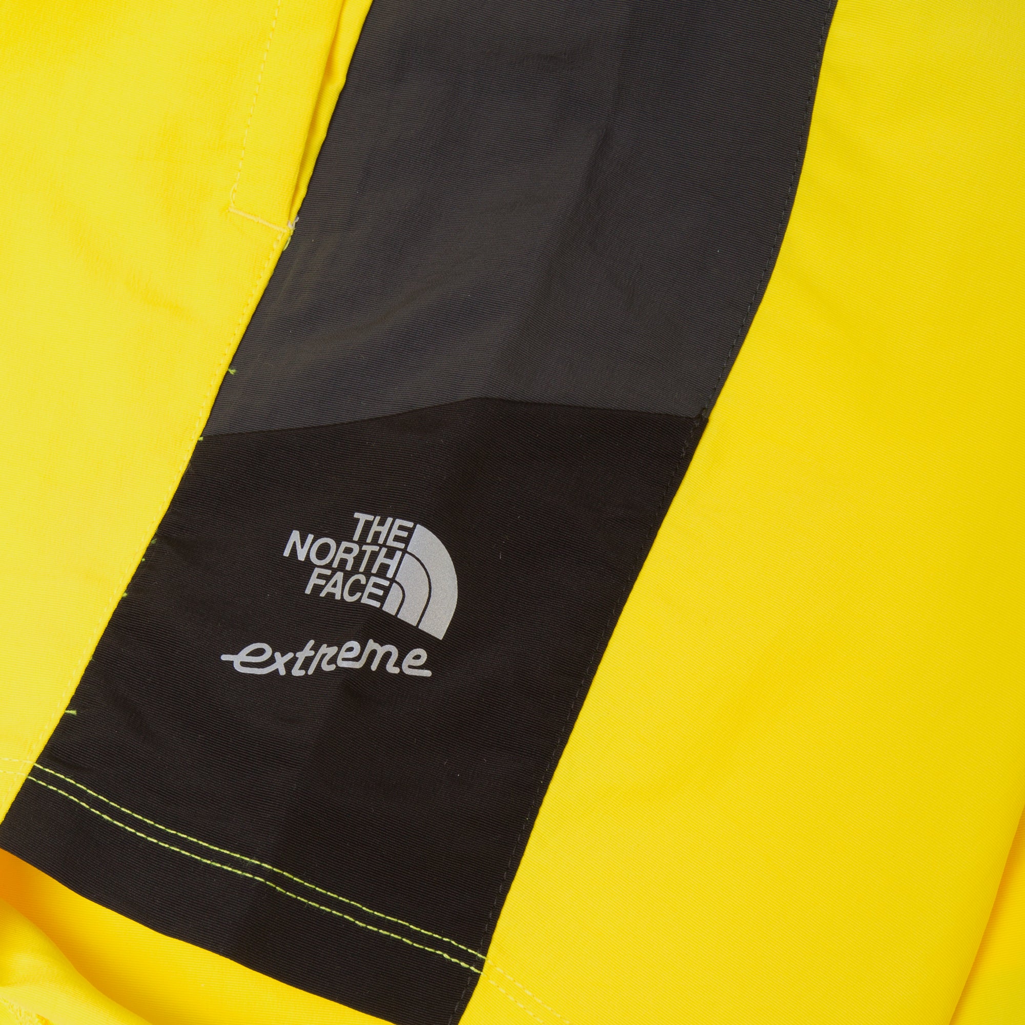 The North Face Mens Extreme Shorts