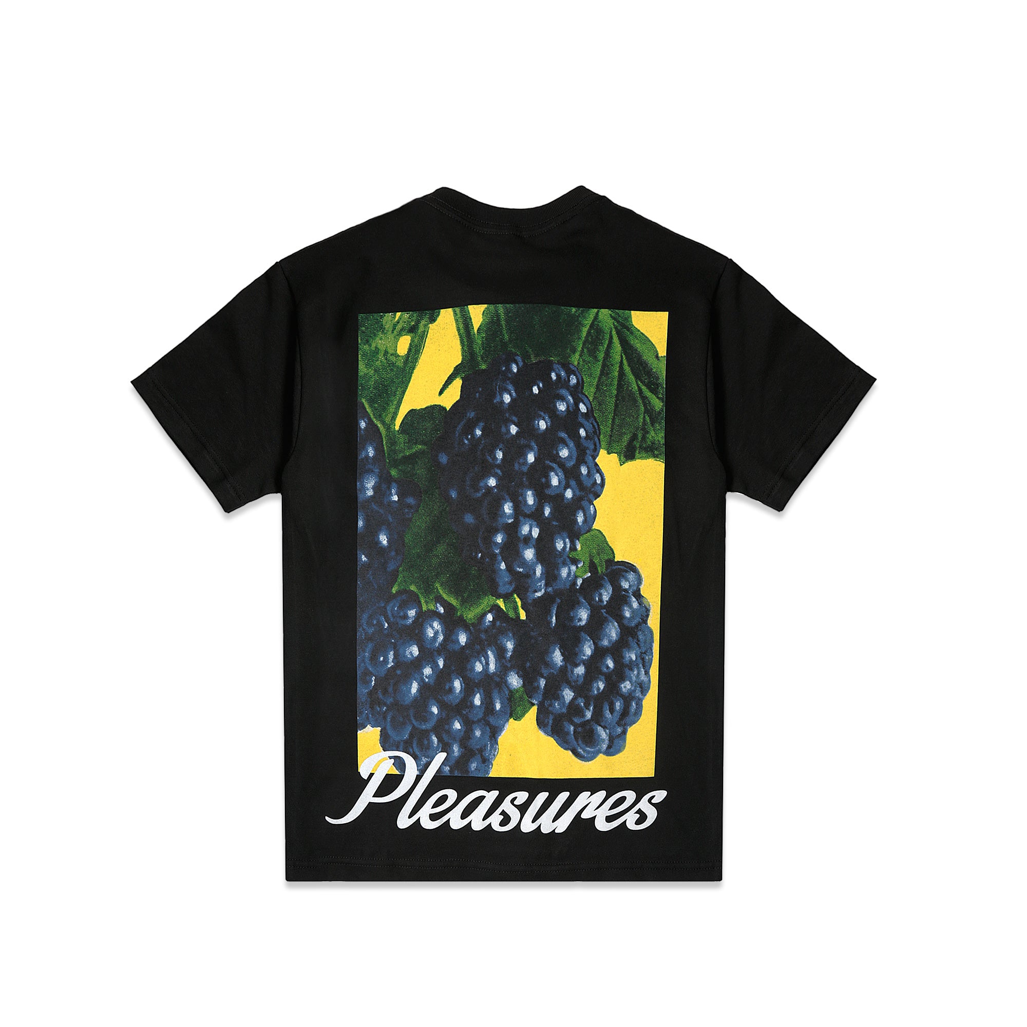 Pleasures Berries Tee [P18S101012-BLK]