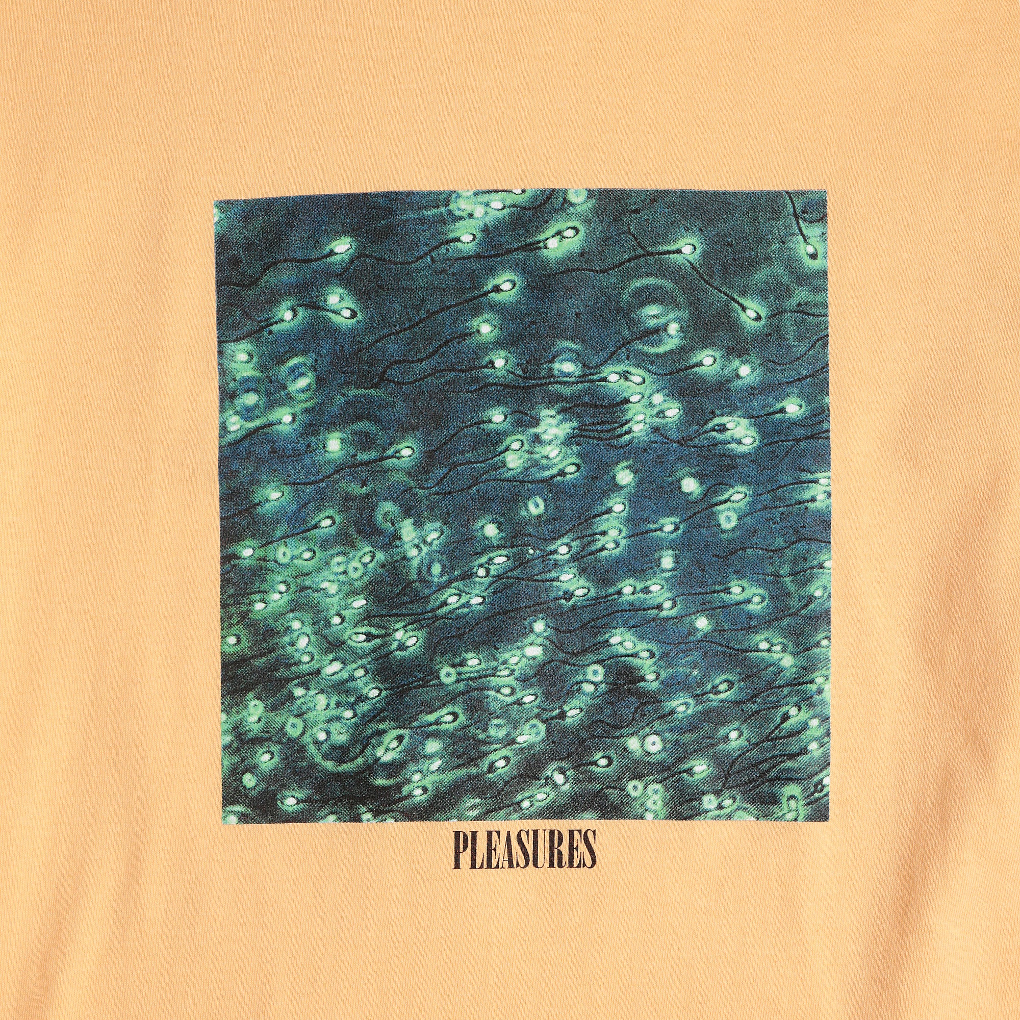 Pleasures Conception Tee [P18S101026]