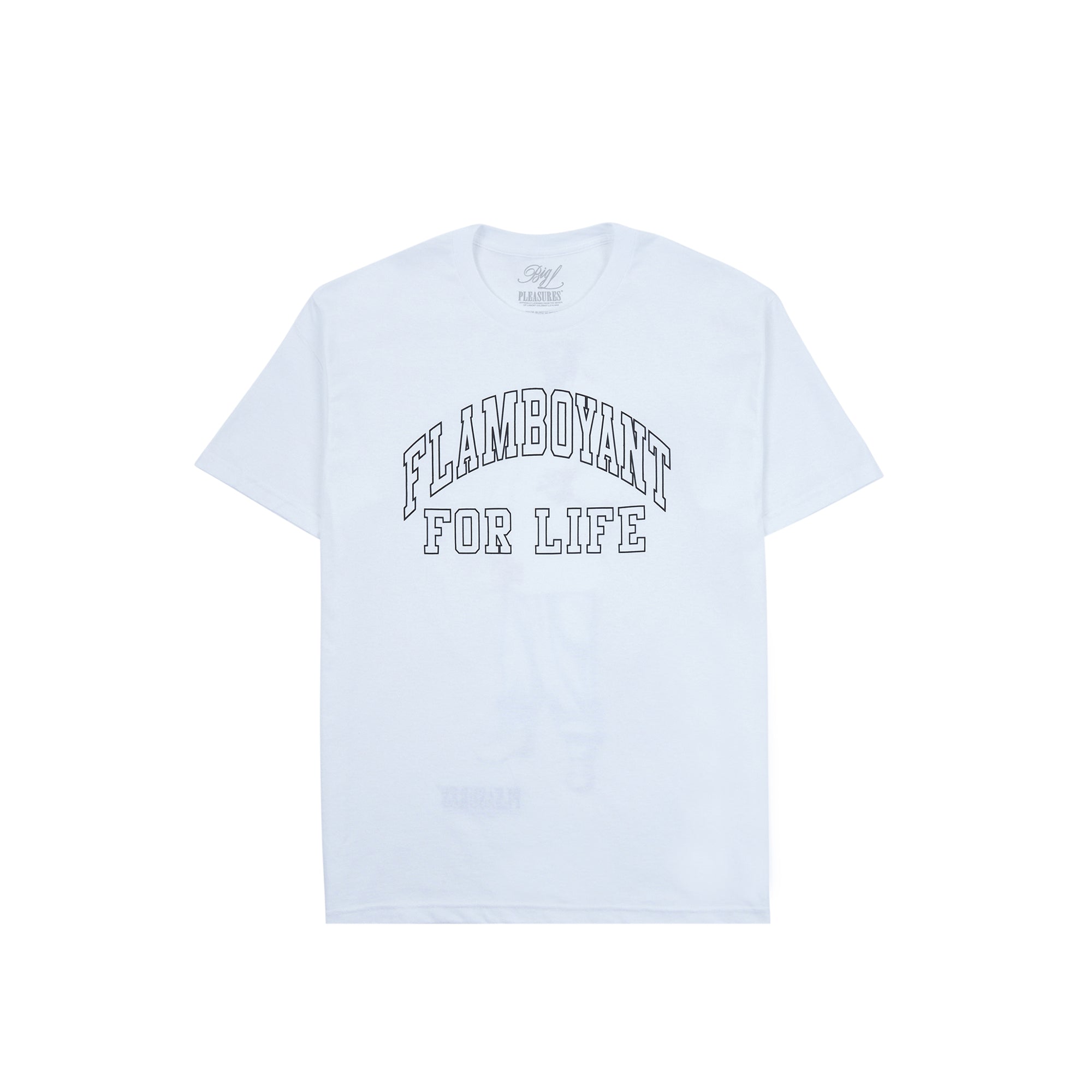 Pleasures x Big L Mens Flamboyant SS Tee