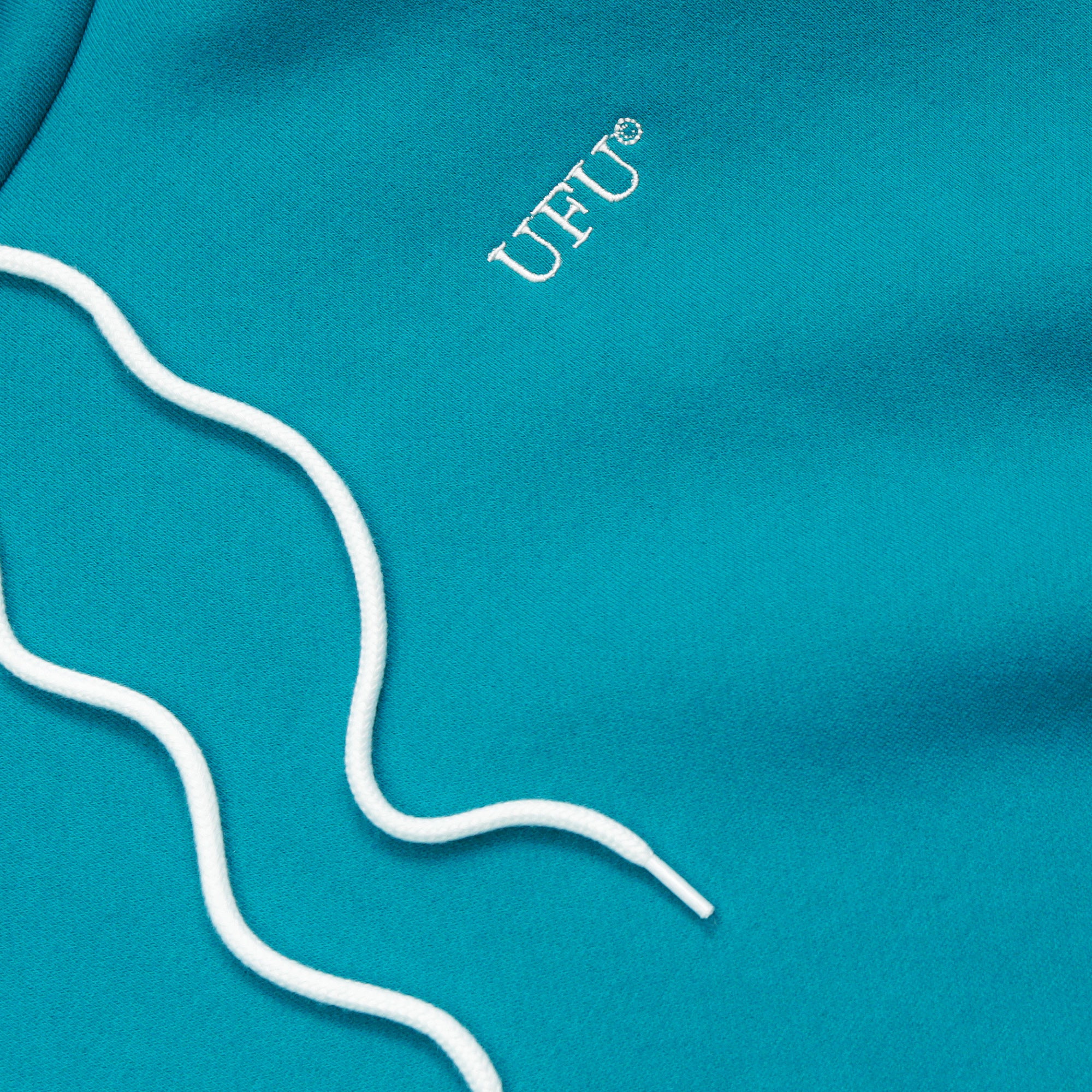 Used Future Mens Serif Hoodie [UCF-HD-101]