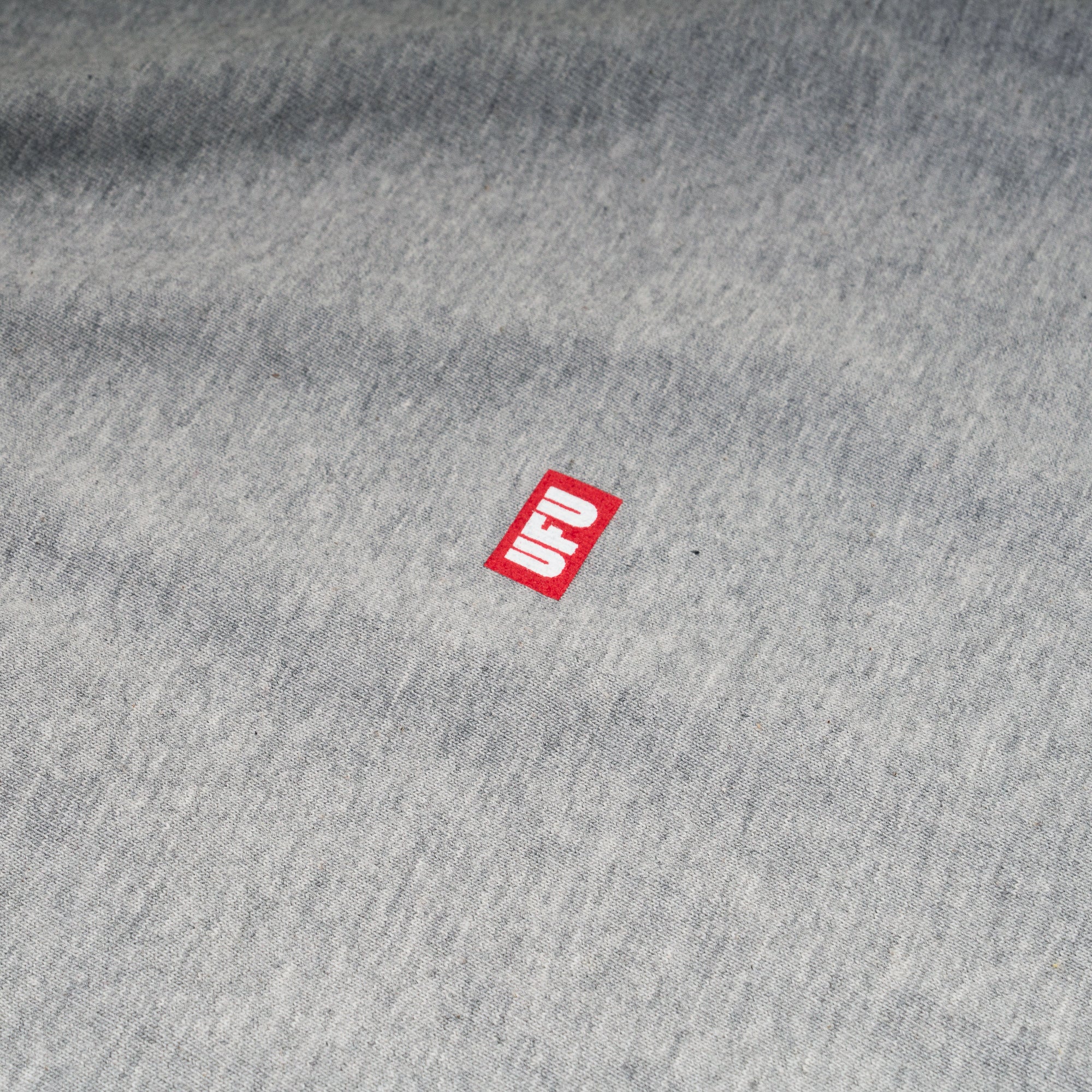 Used Future Small Logo Tee [UDS-TS-101-GY]